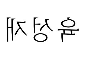 KPOP BTOB(비투비、ビートゥービー) 성재 (ソンジェ) 応援ボード・うちわ　韓国語/ハングル文字型紙 左右反転