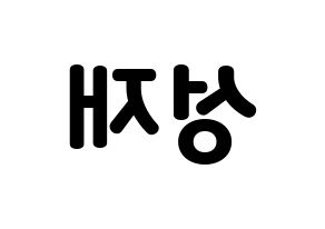 KPOP BTOB(비투비、ビートゥービー) 성재 (ソンジェ) 応援ボード・うちわ　韓国語/ハングル文字型紙 左右反転
