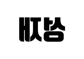 KPOP BTOB(비투비、ビートゥービー) 성재 (ソンジェ) コンサート用　応援ボード・うちわ　韓国語/ハングル文字型紙 左右反転
