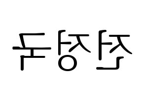 KPOP BTS(방탄소년단、防弾少年団) 정국 (ジョングク) 応援ボード・うちわ　韓国語/ハングル文字型紙 左右反転