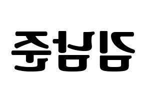 KPOP BTS(방탄소년단、防弾少年団) RM (アールエム) コンサート用　応援ボード・うちわ　韓国語/ハングル文字型紙 左右反転
