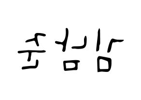 KPOP BTS(방탄소년단、防弾少年団) RM (アールエム) 応援ボード ハングル 型紙  左右反転