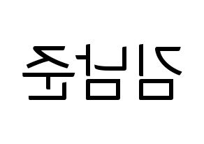 KPOP BTS(방탄소년단、防弾少年団) RM (アールエム) コンサート用　応援ボード・うちわ　韓国語/ハングル文字型紙 左右反転