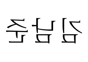 KPOP BTS(방탄소년단、防弾少年団) RM (アールエム) 応援ボード・うちわ　韓国語/ハングル文字型紙 左右反転