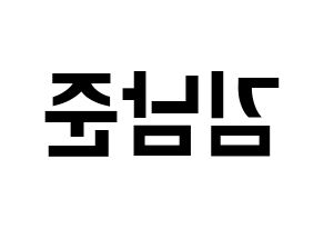 KPOP BTS(방탄소년단、防弾少年団) RM (アールエム) k-pop アイドル名前 ファンサボード 型紙 左右反転