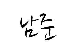 KPOP BTS(방탄소년단、防弾少年団) RM (アールエム) k-pop 応援ボード メッセージ 型紙 通常