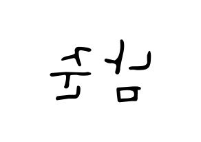 KPOP BTS(방탄소년단、防弾少年団) RM (アールエム) 応援ボード ハングル 型紙  左右反転