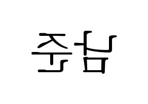 KPOP BTS(방탄소년단、防弾少年団) RM (アールエム) 応援ボード・うちわ　韓国語/ハングル文字型紙 左右反転