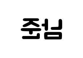 KPOP BTS(방탄소년단、防弾少年団) RM (キム・ナムジュン, アールエム) 応援ボード、うちわ無料型紙、応援グッズ 左右反転