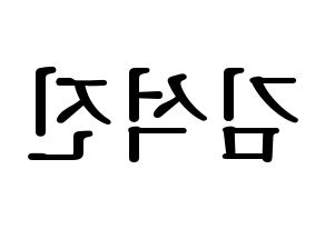 KPOP BTS(방탄소년단、防弾少年団) 진 (ジン) プリント用応援ボード型紙、うちわ型紙　韓国語/ハングル文字型紙 左右反転