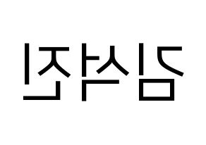 KPOP BTS(방탄소년단、防弾少年団) 진 (ジン) プリント用応援ボード型紙、うちわ型紙　韓国語/ハングル文字型紙 左右反転