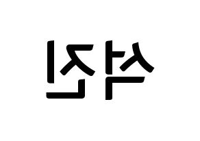 KPOP BTS(방탄소년단、防弾少年団) 진 (ジン) k-pop アイドル名前 ファンサボード 型紙 左右反転