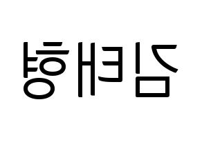 KPOP BTS(방탄소년단、防弾少年団) 뷔 (ブイ) コンサート用　応援ボード・うちわ　韓国語/ハングル文字型紙 左右反転