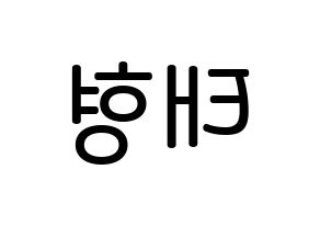 KPOP BTS(방탄소년단、防弾少年団) 뷔 (キム・テヒョン, ブイ) 無料サイン会用、イベント会用応援ボード型紙 左右反転