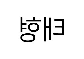 KPOP BTS(방탄소년단、防弾少年団) 뷔 (ブイ) プリント用応援ボード型紙、うちわ型紙　韓国語/ハングル文字型紙 左右反転