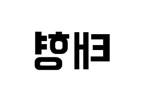 KPOP BTS(방탄소년단、防弾少年団) 뷔 (ブイ) k-pop アイドル名前 ファンサボード 型紙 左右反転