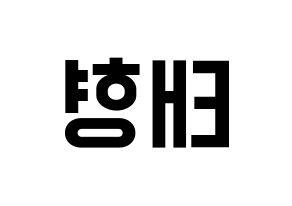 KPOP BTS(방탄소년단、防弾少年団) 뷔 (ブイ) 名前 応援ボード 作り方 左右反転