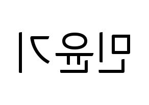 KPOP BTS(방탄소년단、防弾少年団) 슈가 (シュガ) コンサート用　応援ボード・うちわ　韓国語/ハングル文字型紙 左右反転