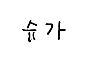 KPOP BTS(방탄소년단、防弾少年団) 슈가 (シュガ) k-pop アイドル名前 ファンサボード 型紙 通常