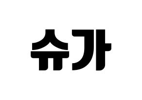 KPOP BTS(방탄소년단、防弾少年団) 슈가 (シュガ) コンサート用　応援ボード・うちわ　韓国語/ハングル文字型紙 通常