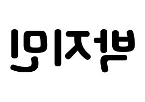 KPOP BTS(방탄소년단、防弾少年団) 지민 (ジミン) 応援ボード・うちわ　韓国語/ハングル文字型紙 左右反転