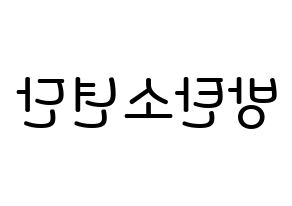 無料 KPOP BTS(방탄소년단、防弾少年団) 無料応援ボード屋さん 左右反転