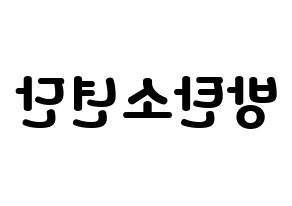 無料 KPOP歌手 BTS(방탄소년단、防弾少年団) ハングル応援ボード型紙、応援グッズ制作 左右反転