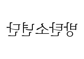 無料 KPOP歌手 BTS(방탄소년단、防弾少年団) ハングル応援ボード型紙、応援グッズ制作 左右反転
