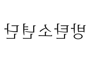 無料 KPOP歌手 BTS(방탄소년단、防弾少年団) ハングル応援ボード型紙、応援グッズ制作 左右反転