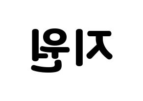 KPOP Cherry Bullet(체리블렛、チェリーバレット) 지원 (ジウォン) 応援ボード・うちわ　韓国語/ハングル文字型紙 左右反転