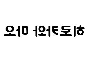 KPOP Cherry Bullet(체리블렛、チェリーバレット) 메이 (メイ) 応援ボード・うちわ　韓国語/ハングル文字型紙 左右反転
