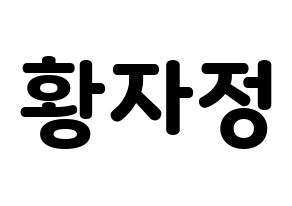 KPOP Cherry Bullet(체리블렛、チェリーバレット) 린린 (リンリン) 応援ボード・うちわ　韓国語/ハングル文字型紙 通常