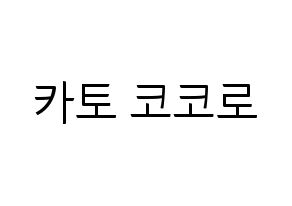 KPOP Cherry Bullet(체리블렛、チェリーバレット) 코코로 (ココロ) コンサート用　応援ボード・うちわ　韓国語/ハングル文字型紙 通常