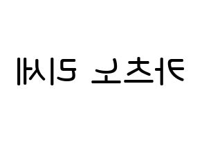 KPOP Cherry Bullet(체리블렛、チェリーバレット) 레미 (勝野莉世, レミ) 無料サイン会用、イベント会用応援ボード型紙 左右反転