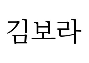 KPOP Cherry Bullet(체리블렛、チェリーバレット) 보라 (ボラ) 応援ボード・うちわ　韓国語/ハングル文字型紙 通常