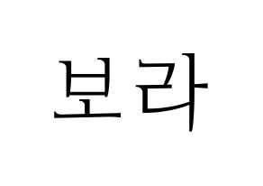 KPOP Cherry Bullet(체리블렛、チェリーバレット) 보라 (ボラ) 応援ボード・うちわ　韓国語/ハングル文字型紙 通常