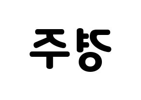KPOP Cherry Bullet(체리블렛、チェリーバレット) 미래 (ミレ) 応援ボード・うちわ　韓国語/ハングル文字型紙 左右反転