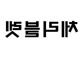 KPOP歌手 Cherry Bullet(체리블렛、チェリーバレット) 応援ボード型紙、うちわ型紙　韓国語/ハングル文字 左右反転