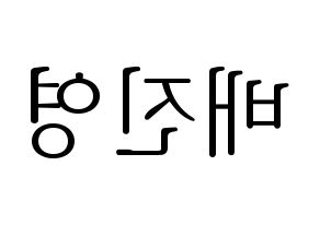 KPOP CIX(씨아이엑스、シーアイエックス) 배진영 (ぺ・ジニョン) 応援ボード・うちわ　韓国語/ハングル文字型紙 左右反転