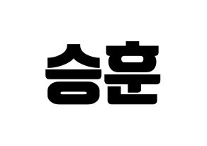 KPOP CIX(씨아이엑스、シーアイエックス) 김승훈 (スンフン) コンサート用　応援ボード・うちわ　韓国語/ハングル文字型紙 通常