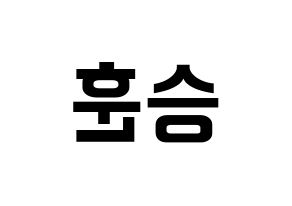 KPOP CIX(씨아이엑스、シーアイエックス) 김승훈 (スンフン) k-pop アイドル名前 ファンサボード 型紙 左右反転