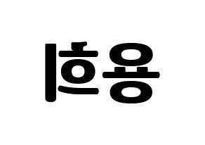 KPOP CIX(씨아이엑스、シーアイエックス) 용희 (ヨンヒ) コンサート用　応援ボード・うちわ　韓国語/ハングル文字型紙 左右反転