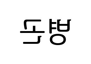 KPOP CIX(씨아이엑스、シーアイエックス) BX (BX) プリント用応援ボード型紙、うちわ型紙　韓国語/ハングル文字型紙 左右反転