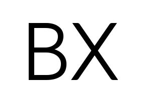 KPOP CIX(씨아이엑스、シーアイエックス) BX (BX) コンサート用　応援ボード・うちわ　韓国語/ハングル文字型紙 通常