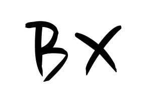 KPOP CIX(씨아이엑스、シーアイエックス) BX (BX) k-pop 応援ボード メッセージ 型紙 通常