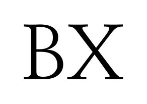 KPOP CIX(씨아이엑스、シーアイエックス) BX (BX) 応援ボード・うちわ　韓国語/ハングル文字型紙 通常