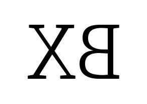 KPOP CIX(씨아이엑스、シーアイエックス) BX (BX) 応援ボード・うちわ　韓国語/ハングル文字型紙 左右反転