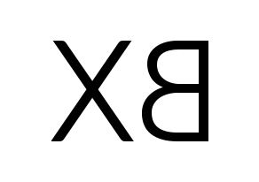KPOP CIX(씨아이엑스、シーアイエックス) BX (BX) コンサート用　応援ボード・うちわ　韓国語/ハングル文字型紙 左右反転
