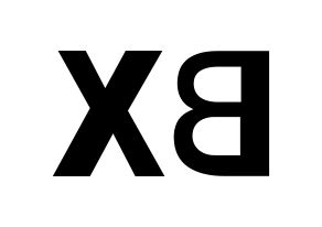 KPOP CIX(씨아이엑스、シーアイエックス) BX (BX) k-pop アイドル名前 ファンサボード 型紙 左右反転