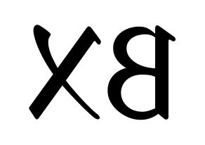 KPOP CIX(씨아이엑스、シーアイエックス) BX (BX) 応援ボード ハングル 型紙  左右反転